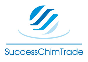 Разработка логотипа SuccessChimTrade