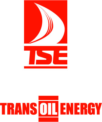 Разработка логотипа TSE 